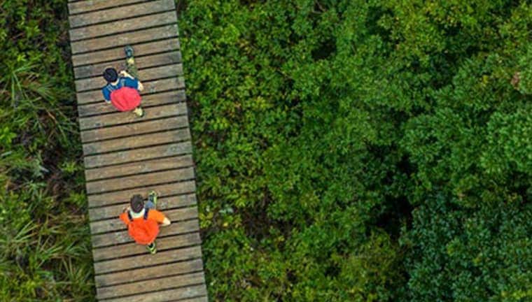 Aerial View Of Male Friends Walking On Boardwalk Amidst Trees