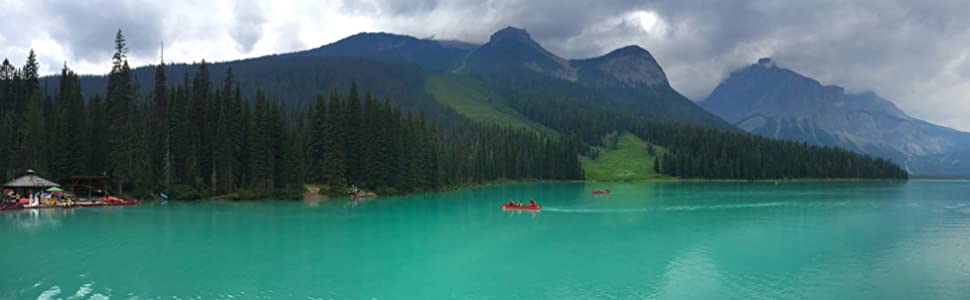 RetiCAM Tripod Lake Background