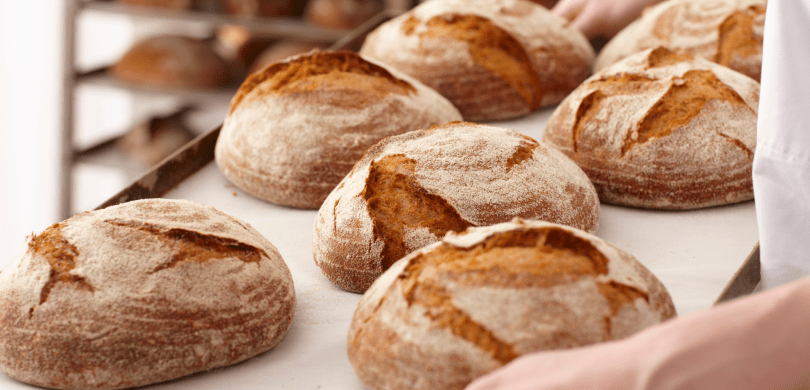 Baker holding tray of sourdough bread