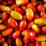 Roma tomatoes