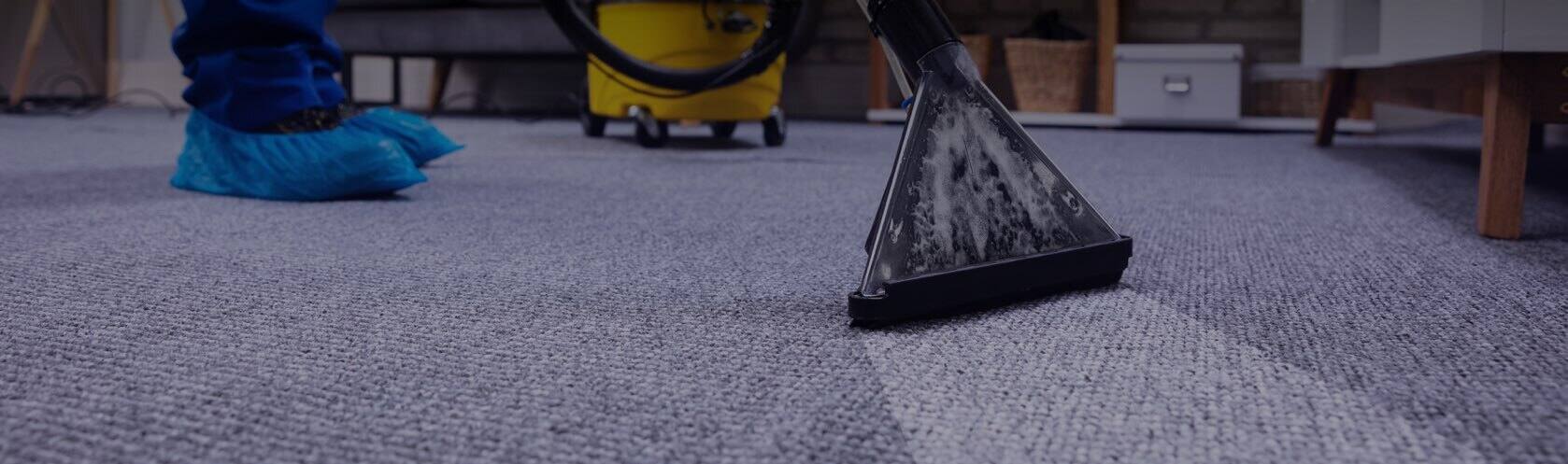 Top-rated carpet cleaners work. 