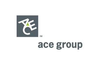 2376/ace-group