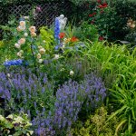 garden filled with purple, white orange and red flowers