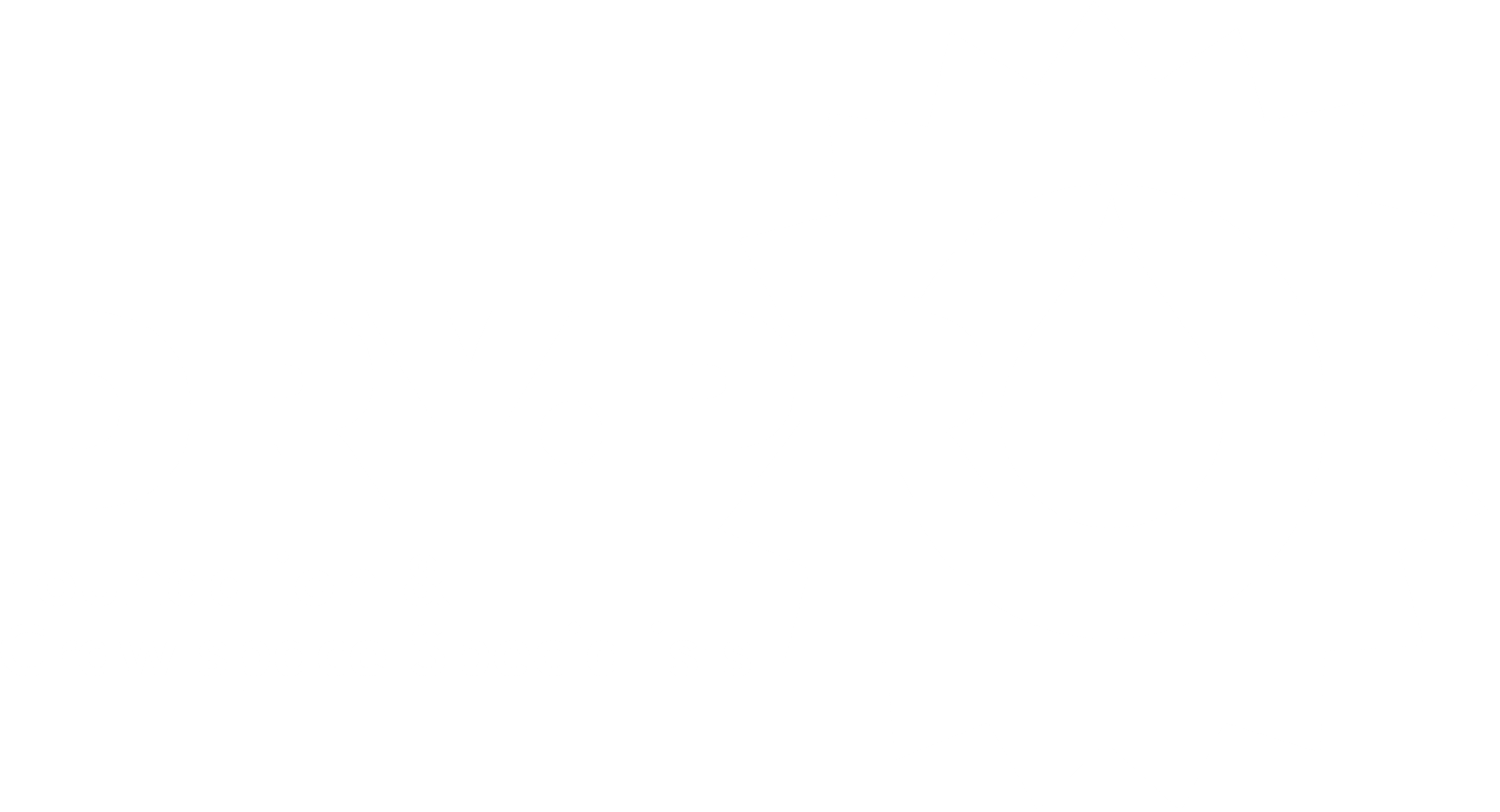 Drypro Logo White