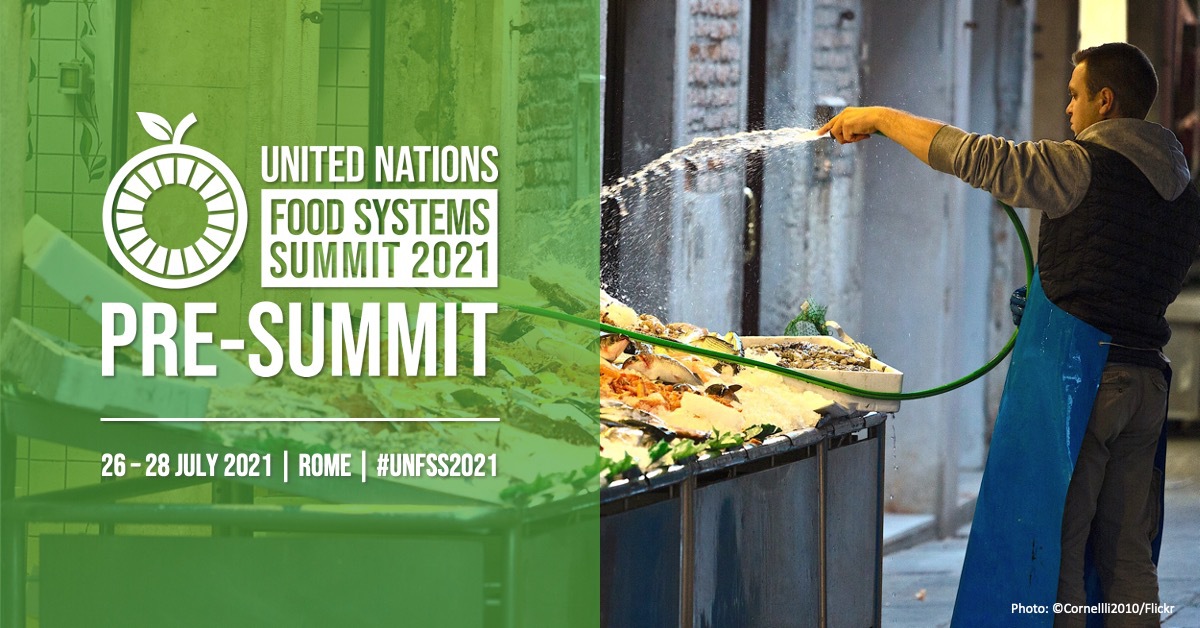 UN Food Systems Pre-Summit: 26-28 July, Rome

#UNFSS2021