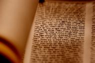 Torah Scroll Closeup