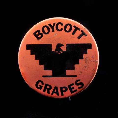 Boycott Grapes button