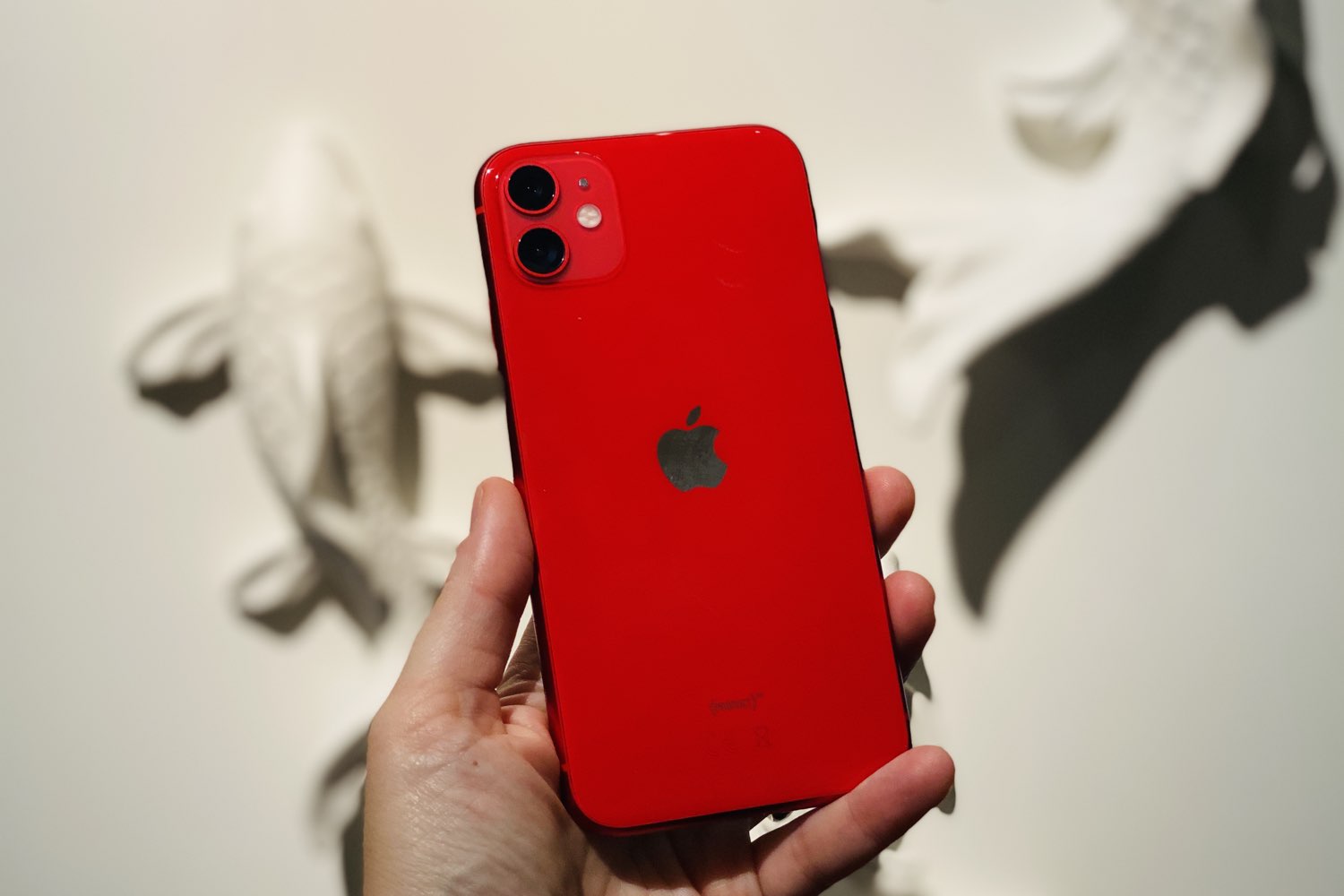 iPhone 11 review in de hand