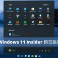 Windows 11 第一个开发者预览版初体验 36