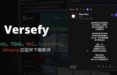 Versefy - 为 Spotify、TIDAL、VLC、foobar2000、Winamp 匹配并下载歌词[Windows] 16