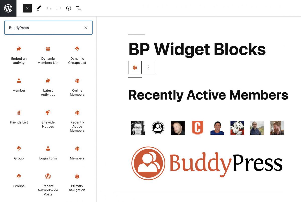 Screenshot of the BuddyPress Widget Block User Interface