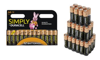 Duracell AA or AAA Batteries