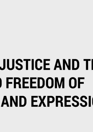 Gender justice and the right to freedom of opinion and expression