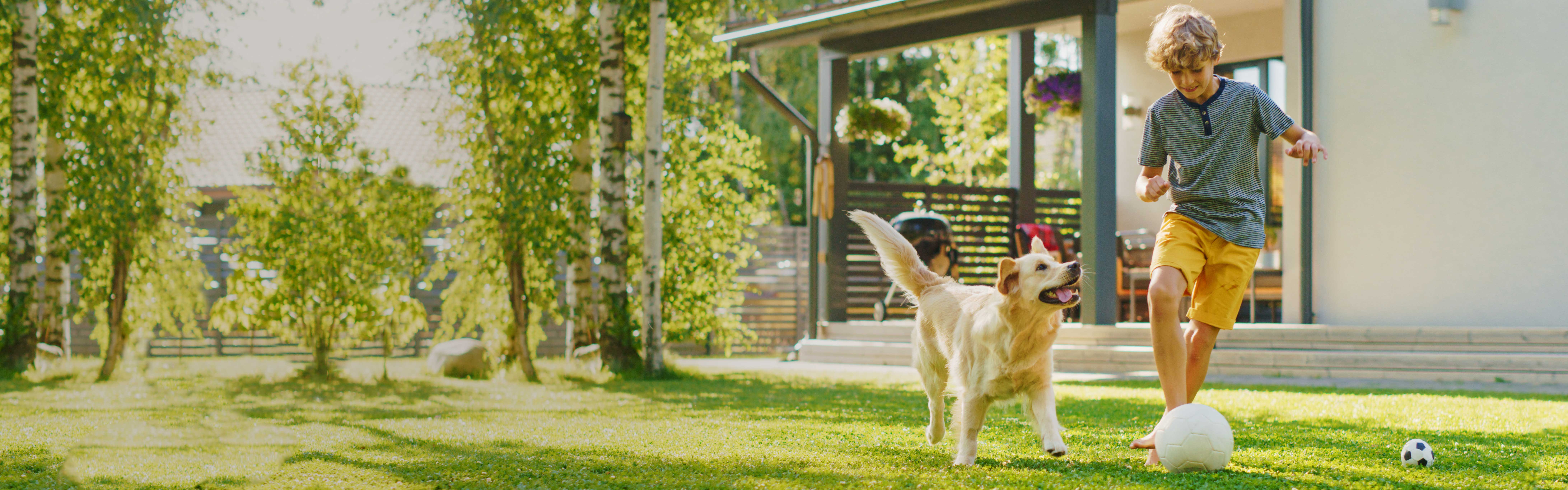 Junge und Hund spielen vor ihrem Zuhause Fußball.