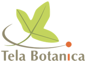 logo-tela-botanica