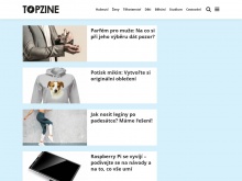 Topzine