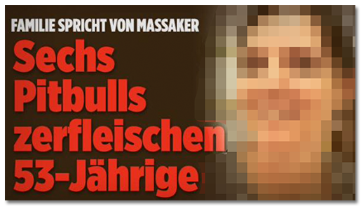 Screenshot von der BILD.de-Startseite: "Familie spricht von Massaker - Sechs Pitbulls zerfleischen 53-Jährige", dazu ein großes Foto der Frau