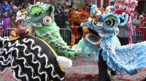 Chinese lions dance to the firecrackers in Chinatown of Washington D.C. for the annual Chinese New Year celebration. 