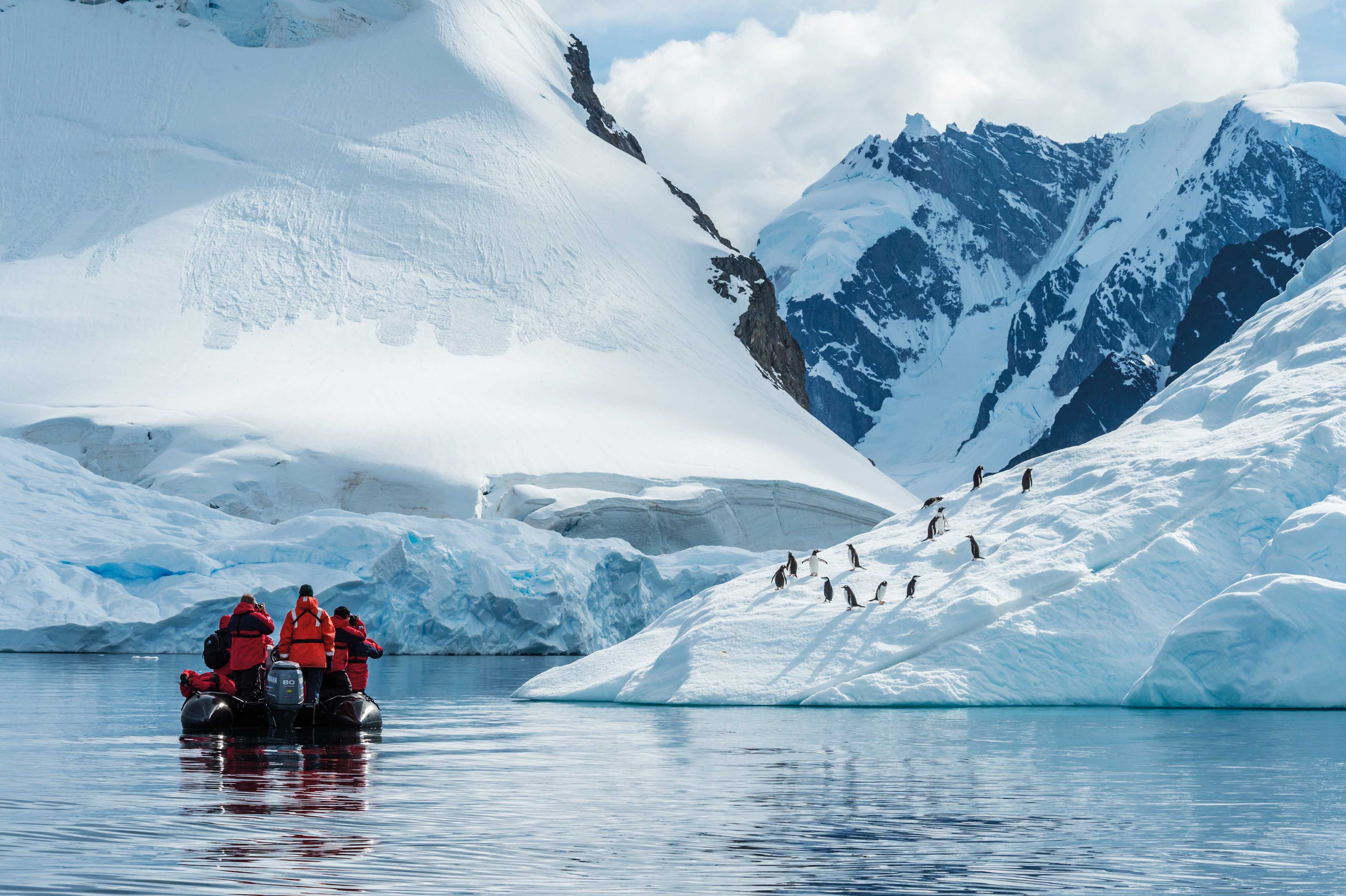 Contribute to Research in Antarctica