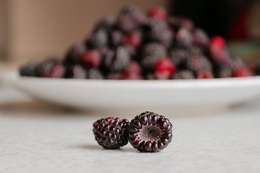 Brombeeren, Beeren, Süß, Saftig, Bio