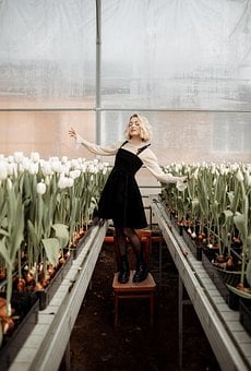 Tulipes, À Effet De Serre, Fleurs, Fille