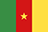 Flag for Cameroon