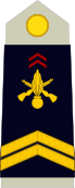 insignia with two chevrons