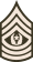 Command Sergeant Major