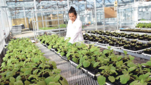 The University of Guelph's Controlled Environment Systems Research Facility (CESRF). (Courtesy of University of Guelph)