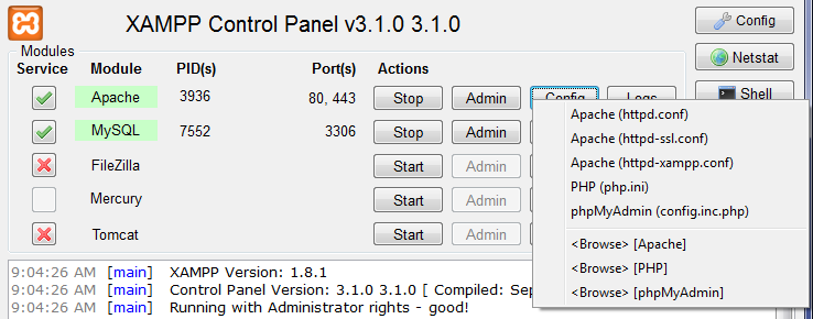 Configuring XAMPP: Advanced Settings Screen