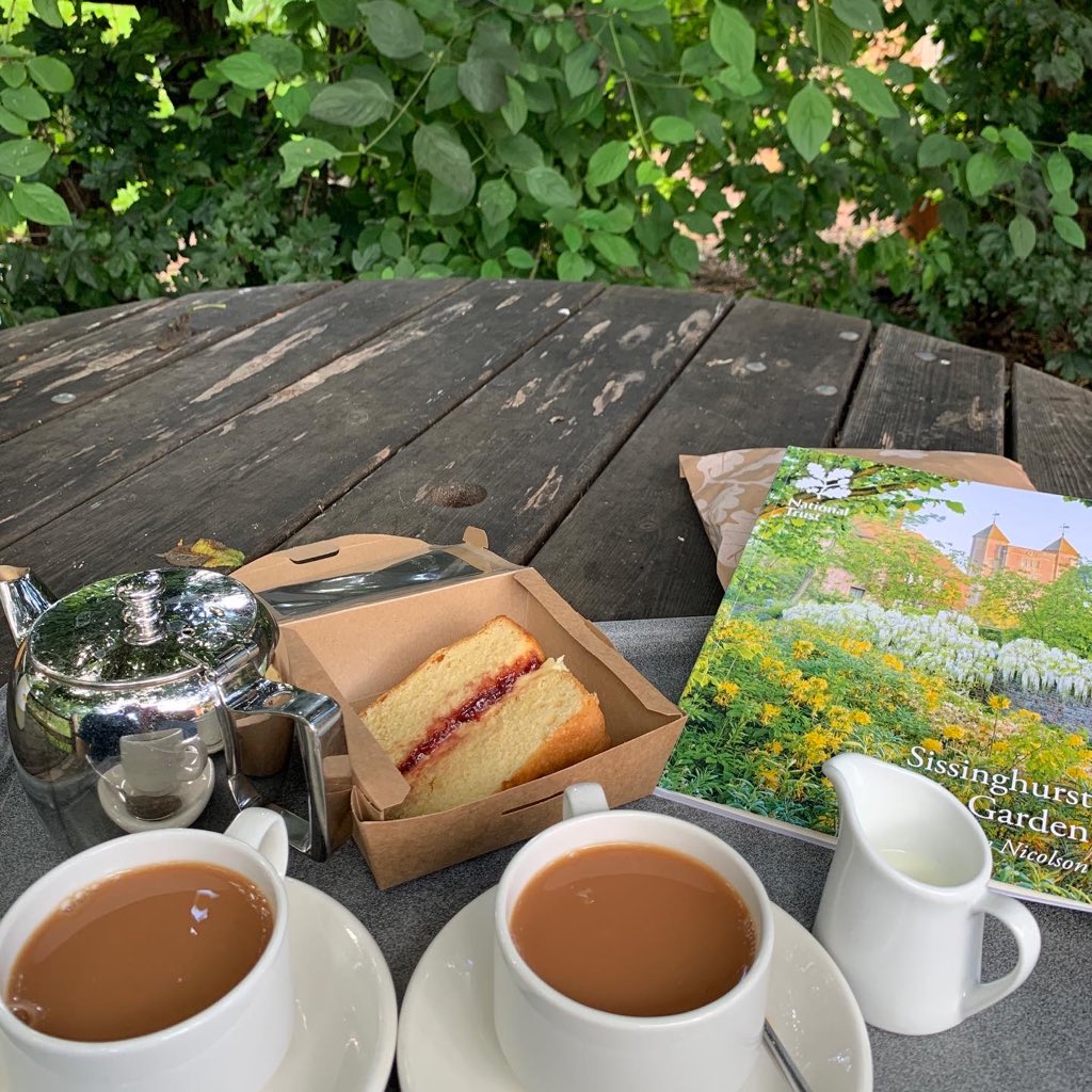 Afternoon tea under a tree