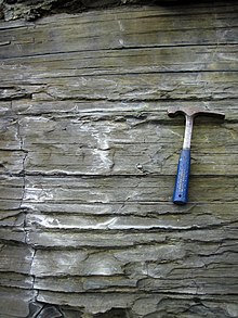 Chattanooga Shale (Upper Devonian; Burkesville West Rt. 90 roadcut, Kentucky, USA) 25 (40541681100).jpg