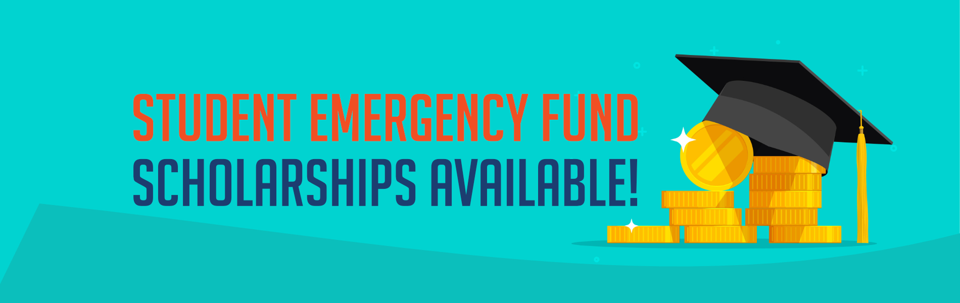 Emergency Fund