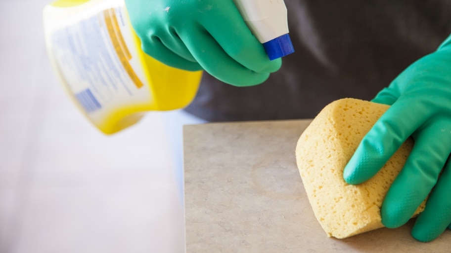 gloved hands holding a sponge and spray bottle