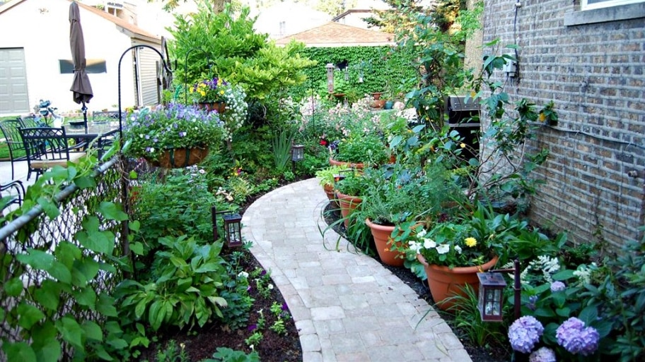 paved walkway in a small yard