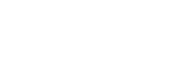 WordPress VIP