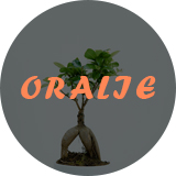 Oralie