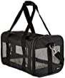 Amazon Basics Soft-Sided Mesh Pet Travel Carrier, Medium (17 x 10 x 10 Inches), Black