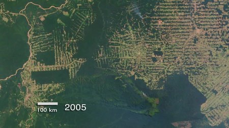 File:Amazon Deforestation in Rondonia, Brazil.ogv