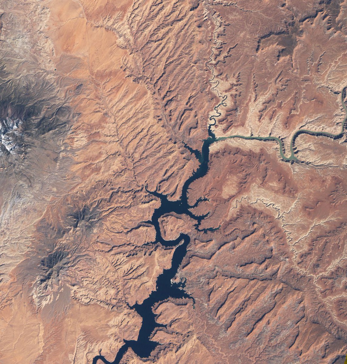 Lake Powell imaged by Landsat satellite