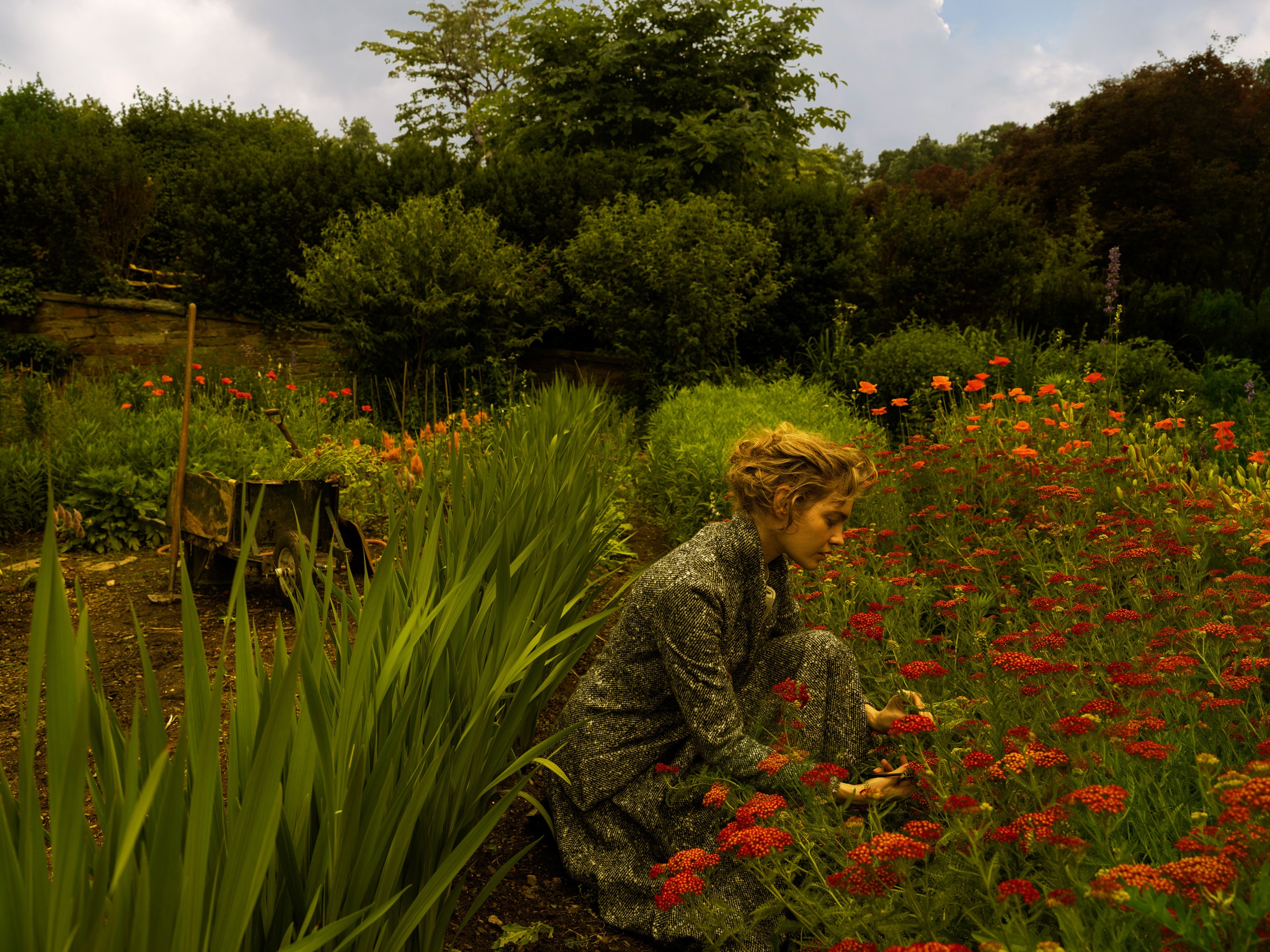 Image may contain Leaf Plant Human Person Tree Grass Vegetation Flower and Blossom