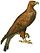 Golden Eagle Illustration white background.jpg