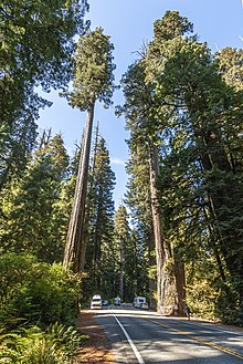 US 199 Redwood Highway.jpg