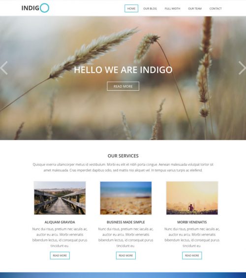 Indigo, business and non-profit WordPress theme