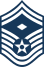 E8b USAF 1STSGT2.svg