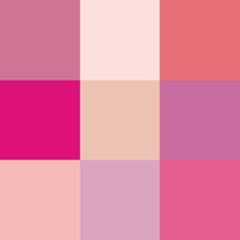 Shades of pink.png