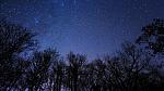 Dark New Moon night with the star filled sky in the background and fir trees in the foreground.