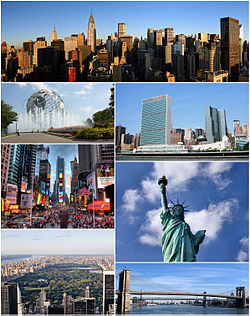 NYC Montage 2011.jpg