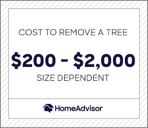 the average cost to remove a tree is $200 to $2,000 depending on size