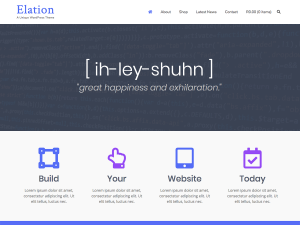 Elation WordPress theme